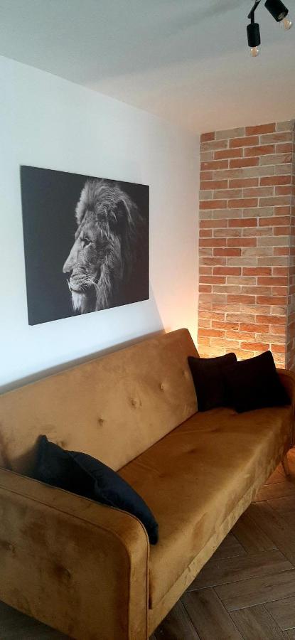 Ric Apartment Budua Esterno foto